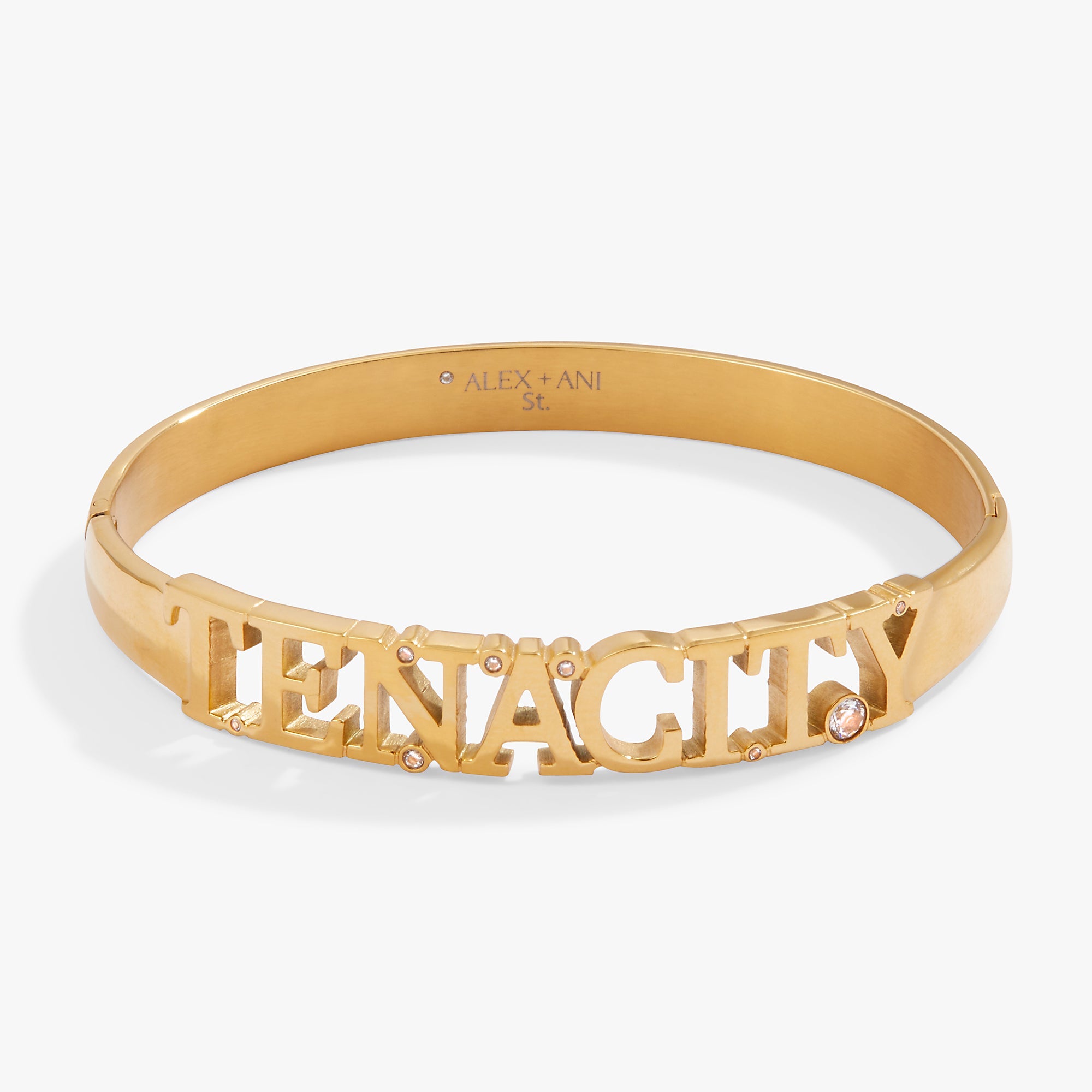 TENACITY2.jpg