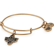 Wonder Woman® Lasso Charm Bangle