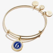 Number 6 Charm Bangle | Healing, Supportive, and Love