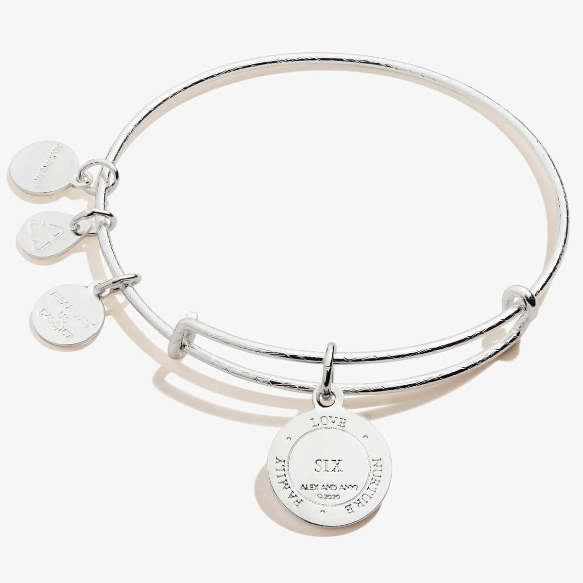 Number 6 Charm Bangle | Healing, Supportive, and Love