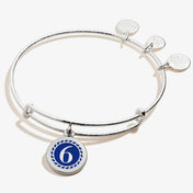 Number 6 Charm Bangle | Healing, Supportive, and Love