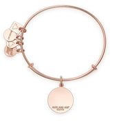 Arrows of Friendship Charm Bangle