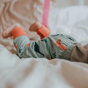 2-pack dinosaur/stripe pants: Size 3-6M