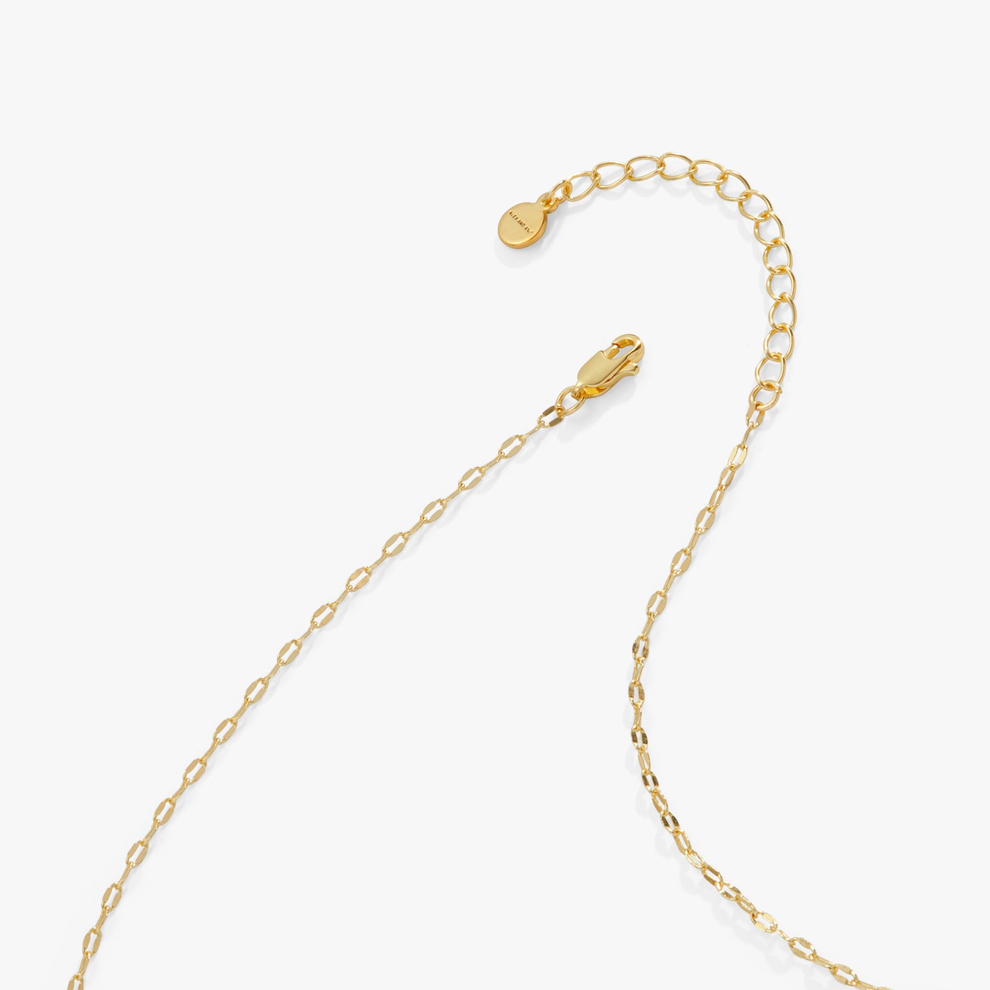 hearts-chain-necklace-adjustable-clasp-AA738123SG.jpg