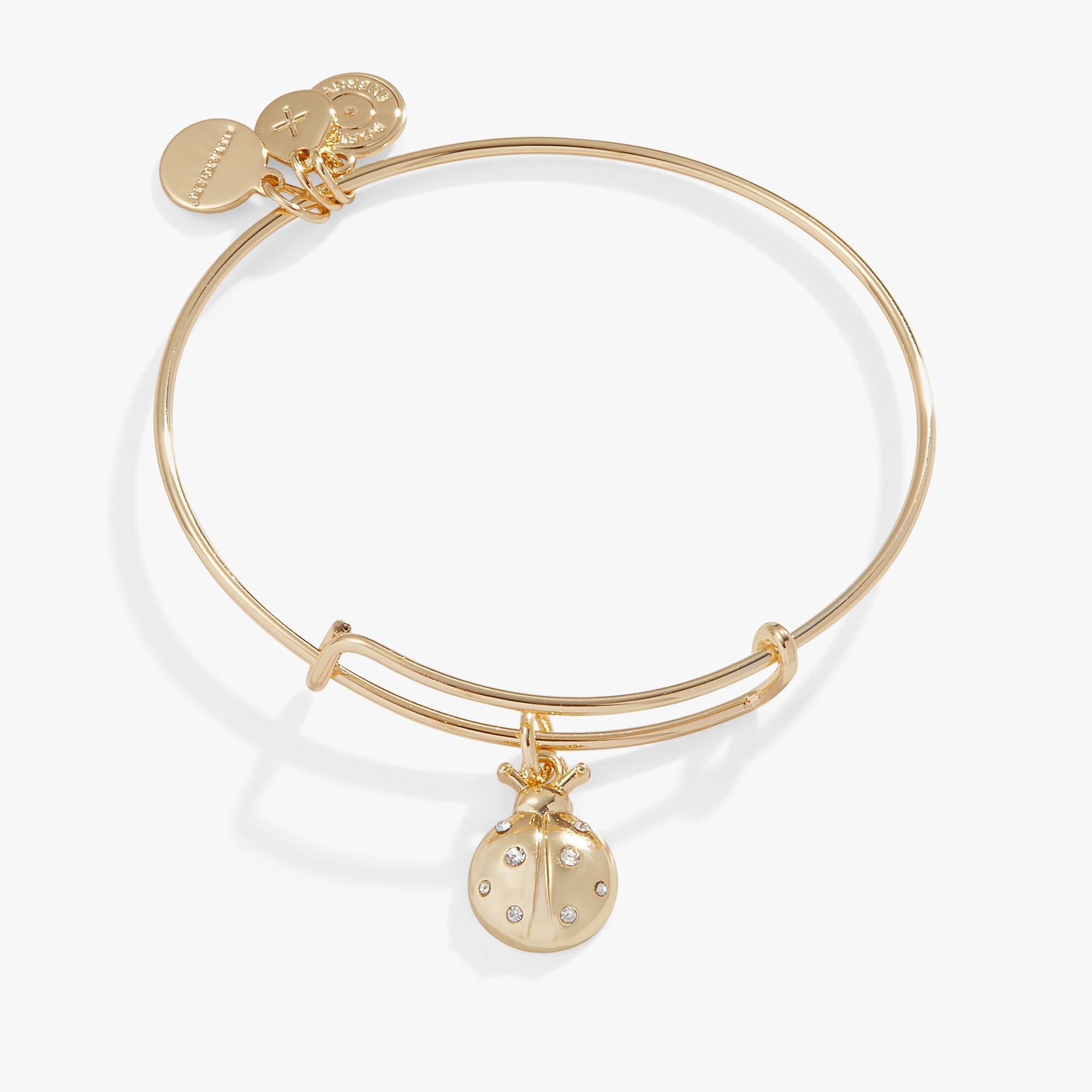 ladybug-charm-bangle-bracelet-AA747323SG.jpg
