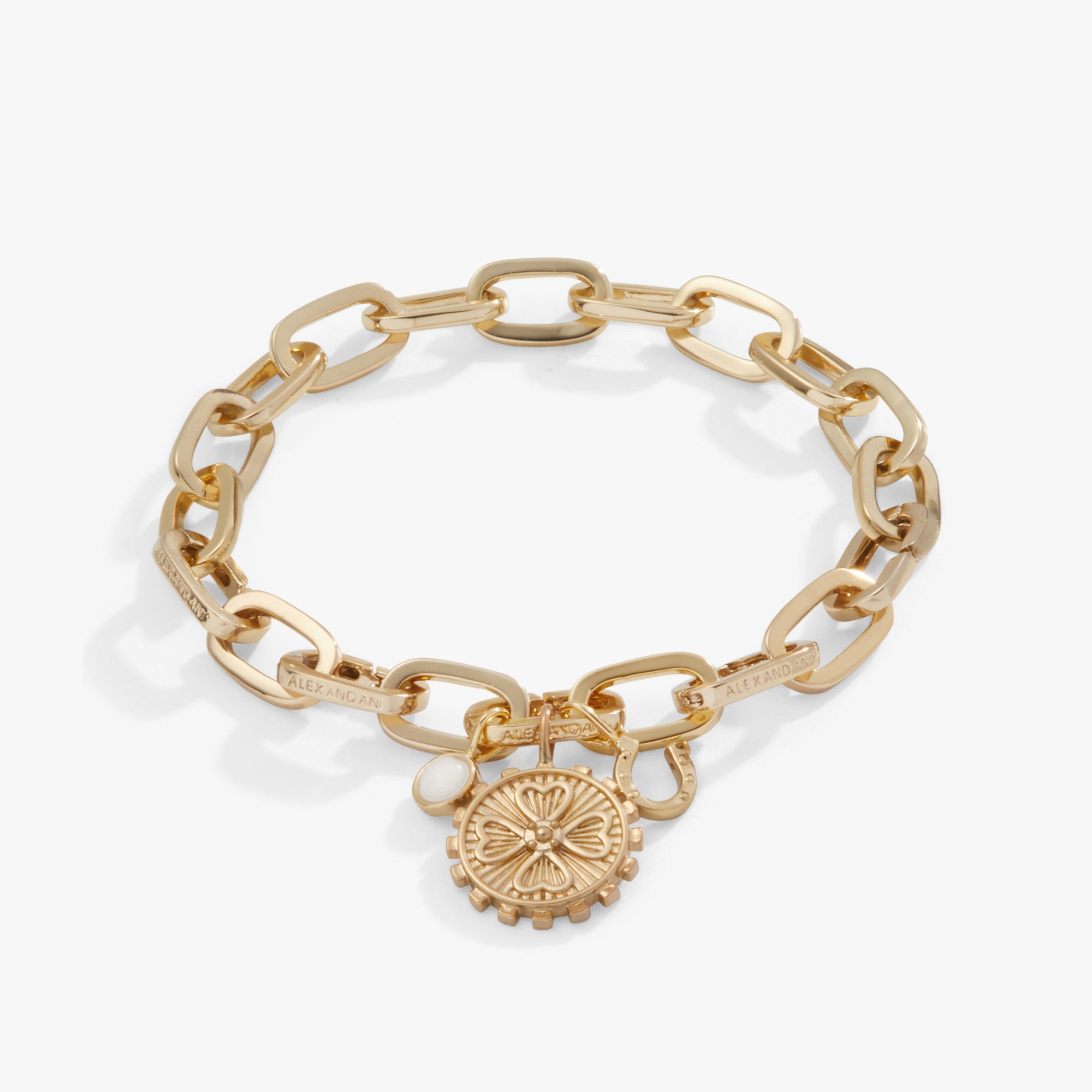 love-and-luck-multi-charm-interchangable-bracelet-AA740023SG.jpg