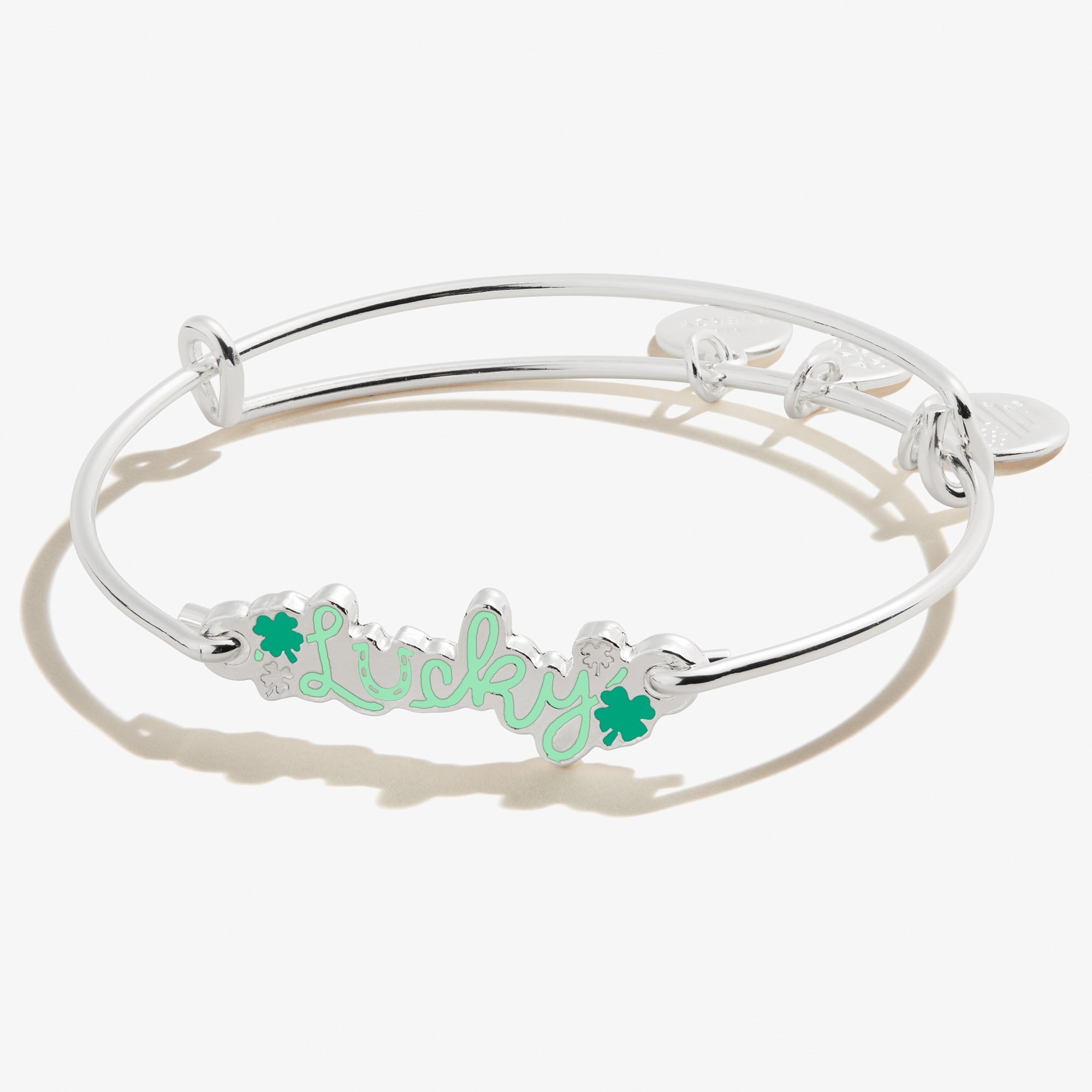 lucky-inline-bangle-bracelet-AA598822EWBSS.jpg