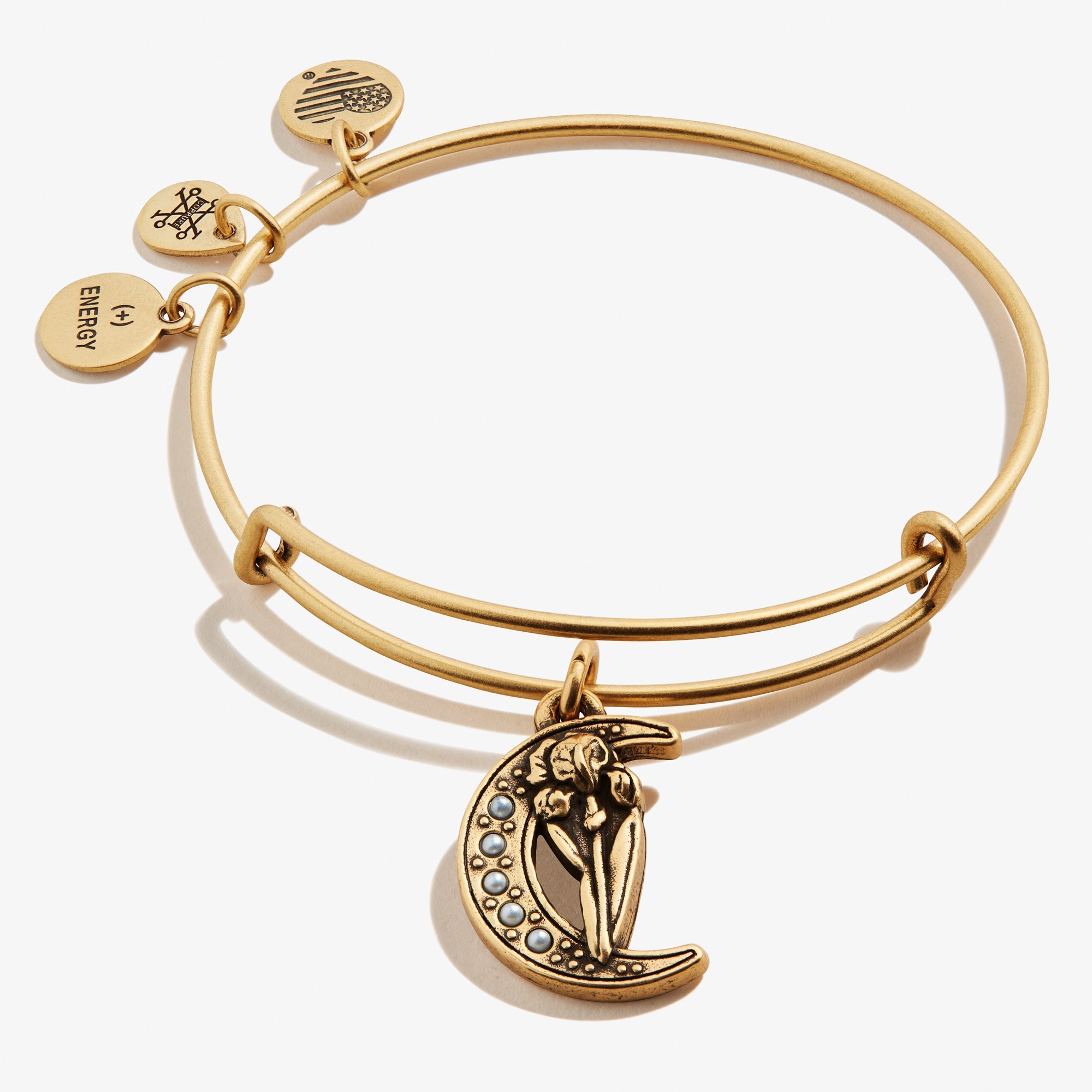 Moon + Iris Flower Charm Bangle