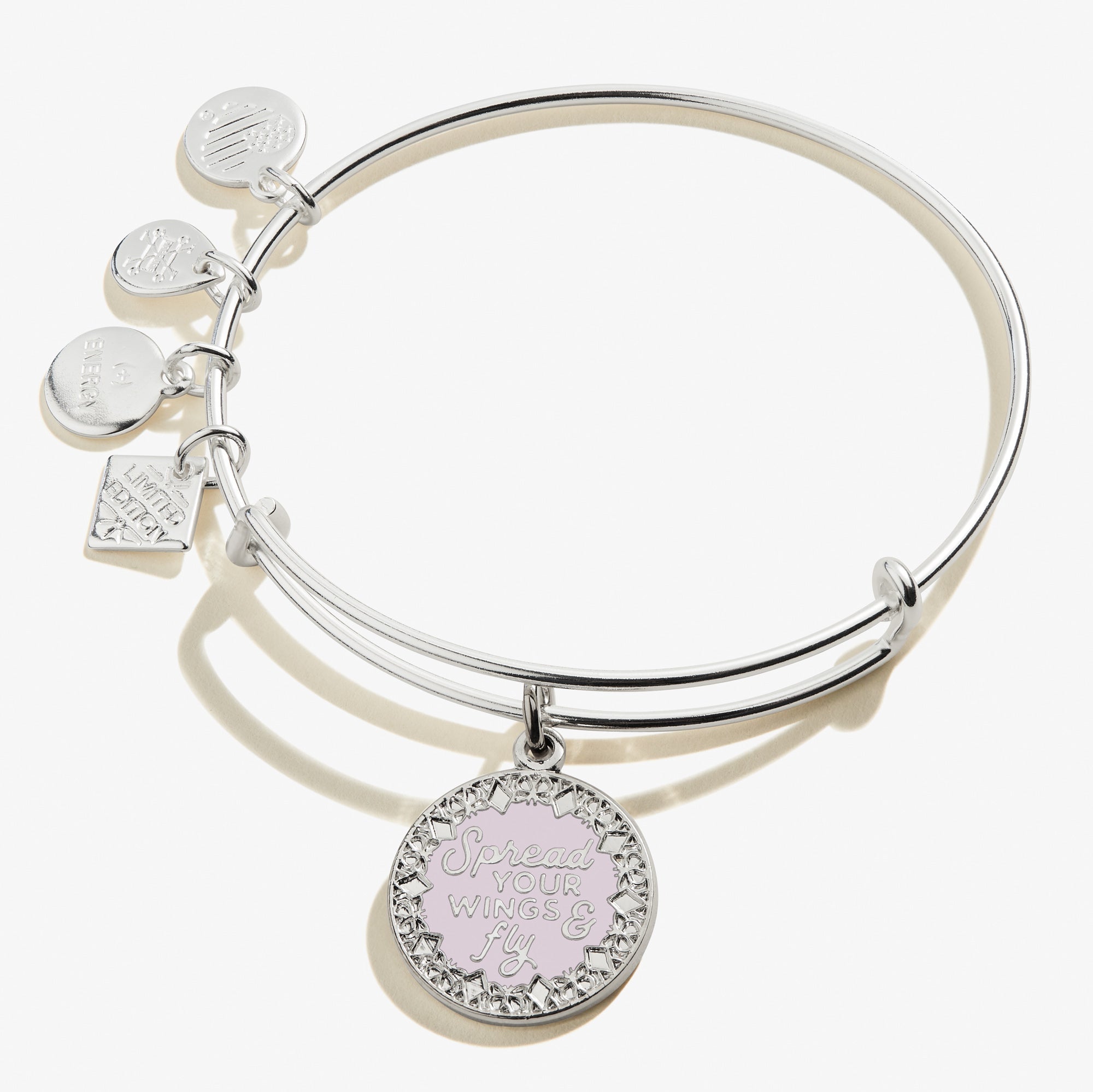 Spread Your Wings and Fly Charm Bangle