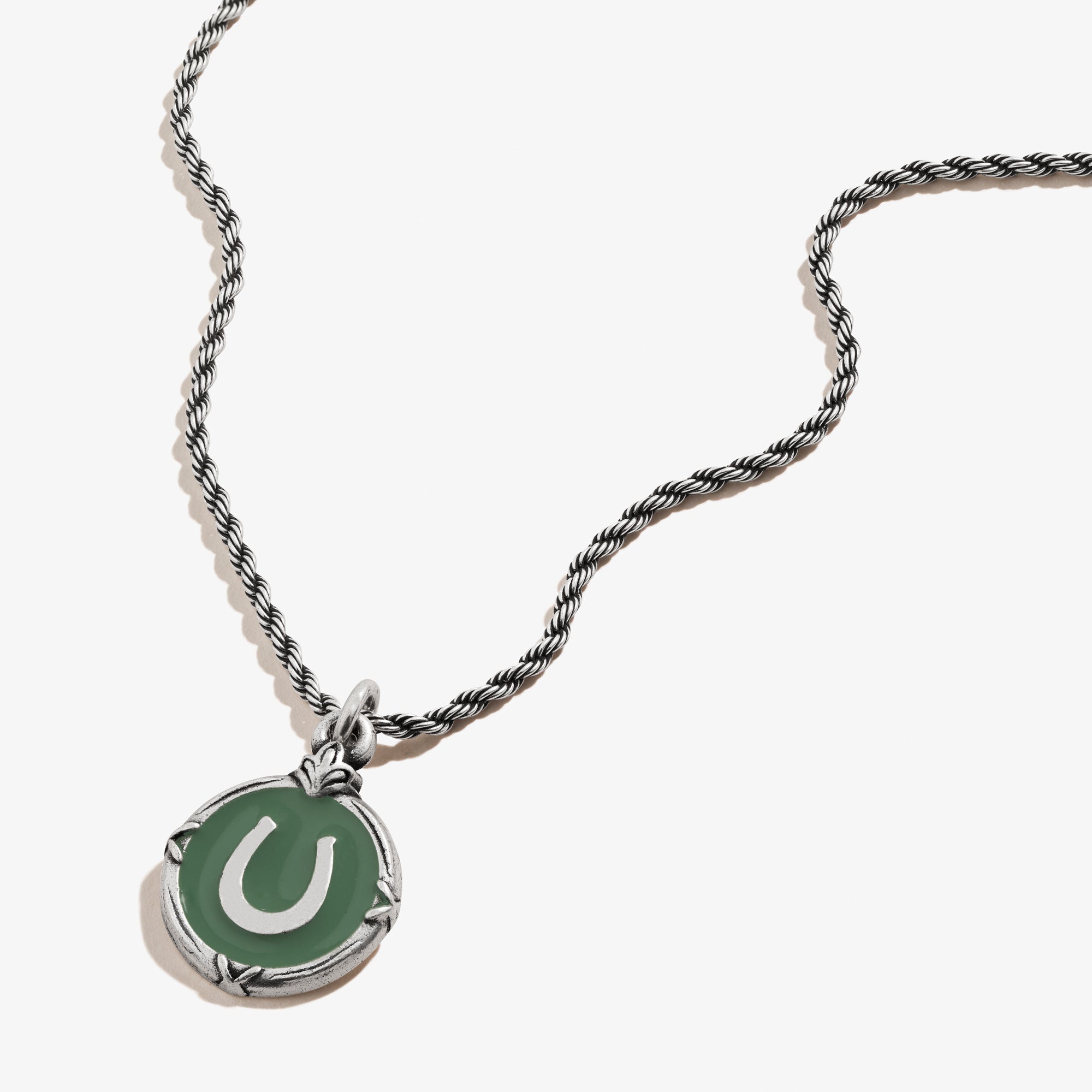 token-of-luck-horseshoe-charm-necklace-adjustable-front-A21ENLCKRS.jpg