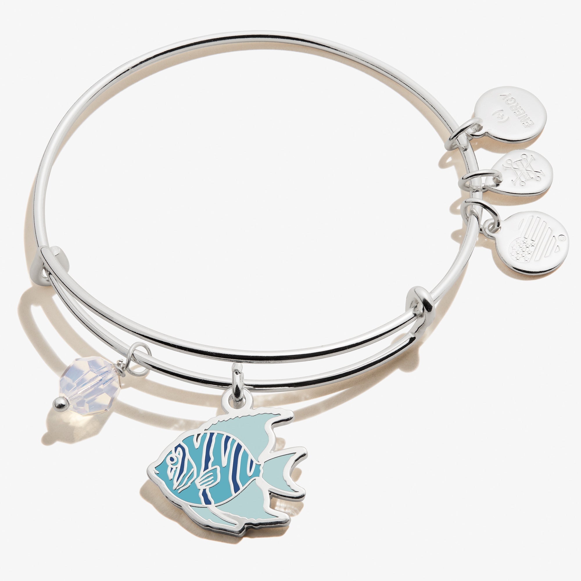 tropical-fish-duo-charm-bangle-silver-front-A21EBTSDSS.jpg